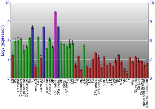 Multi-state expression graph