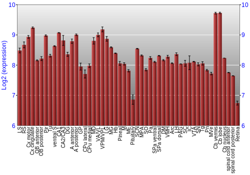 Expression graph