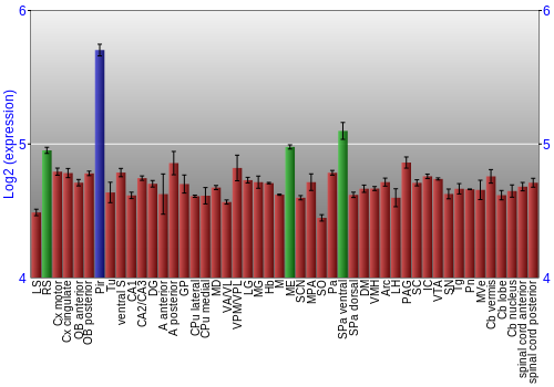 Multi-state expression graph