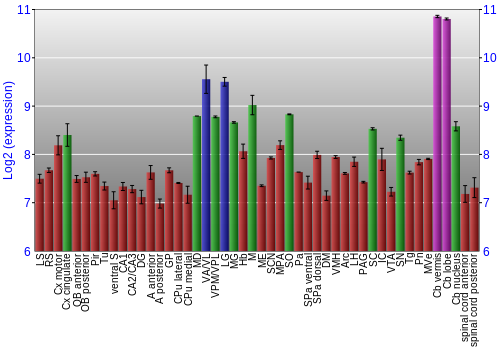 Multi-state expression graph