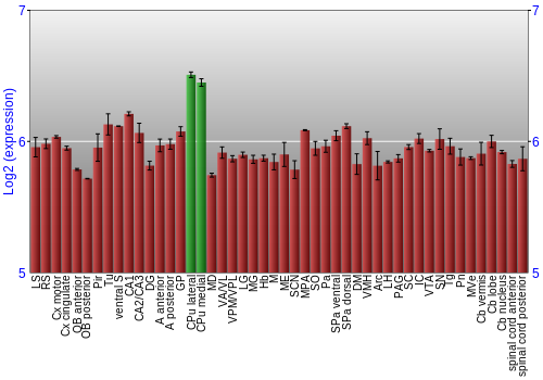 Multi-state expression graph