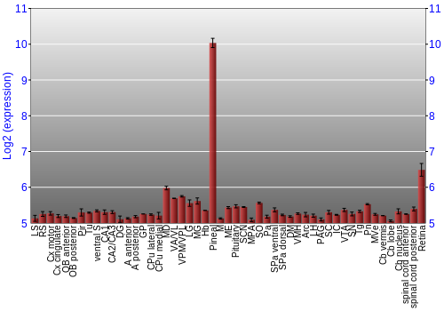 Expression graph