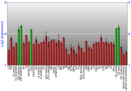 Multi-state expression graph