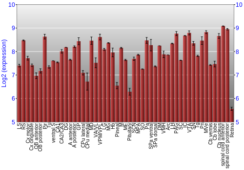 Expression graph