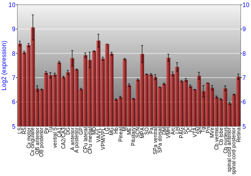 Expression graph