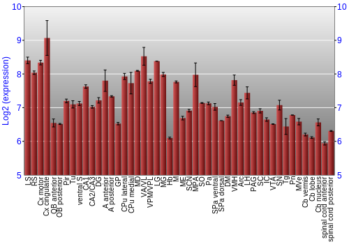 Multi-state expression graph