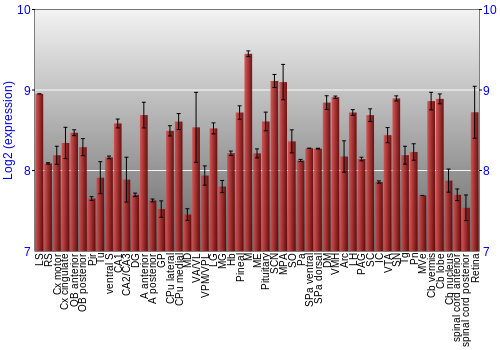Expression graph