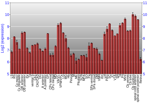 Expression graph