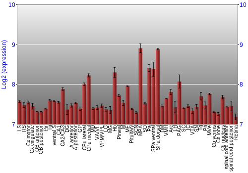 Expression graph