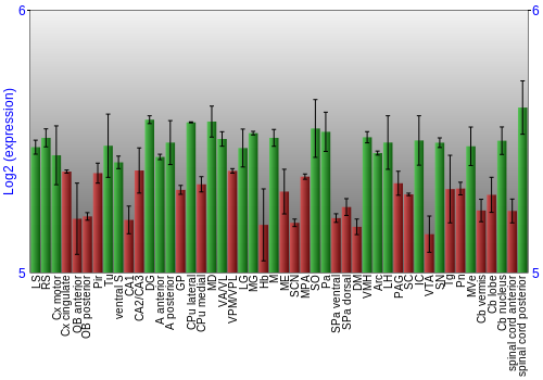 Multi-state expression graph