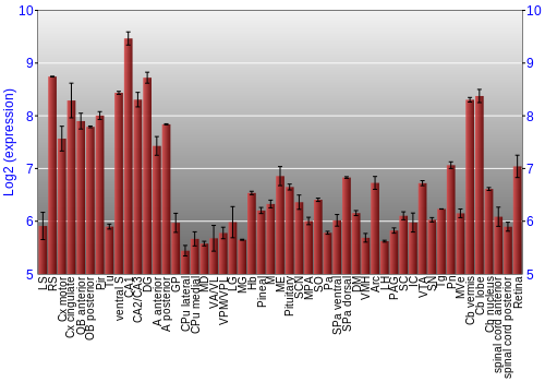 Expression graph