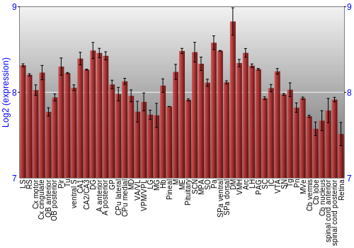 Expression graph