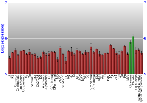 Multi-state expression graph