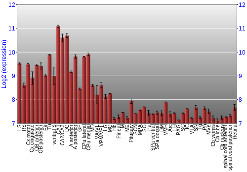 Expression graph