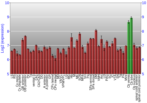 Multi-state expression graph