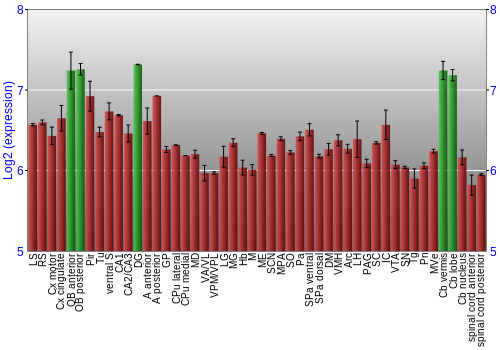 Multi-state expression graph