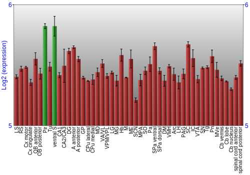Multi-state expression graph