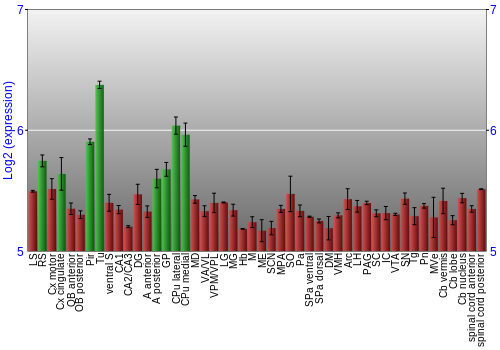 Multi-state expression graph