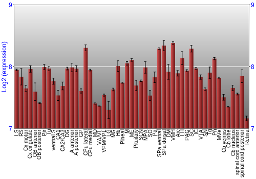 Expression graph