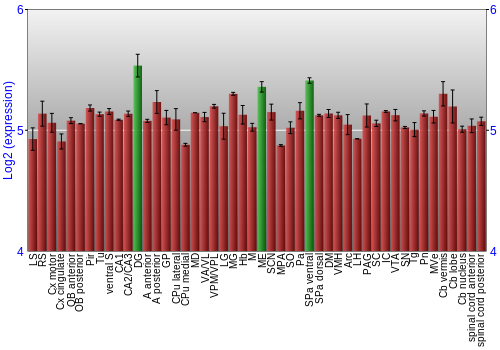 Multi-state expression graph