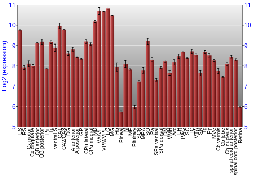 Expression graph