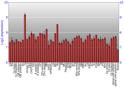 Expression graph