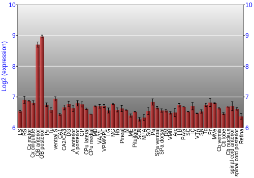 Expression graph