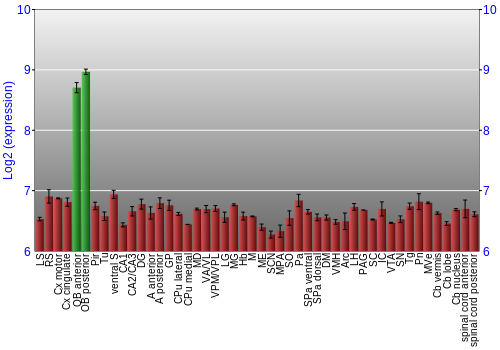 Multi-state expression graph