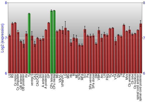 Multi-state expression graph