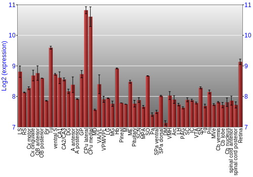 Expression graph