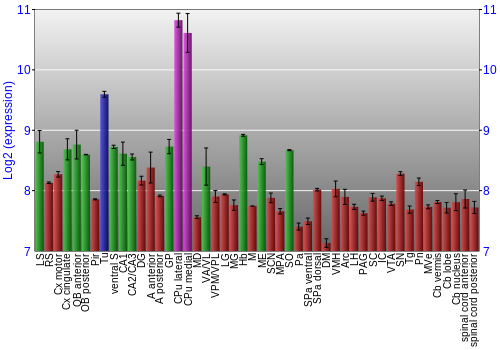 Multi-state expression graph