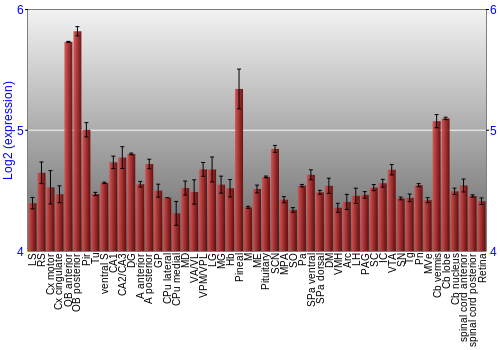 Expression graph
