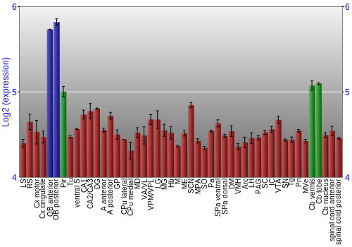Multi-state expression graph