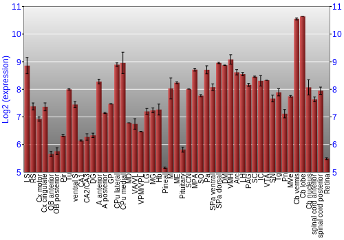 Expression graph