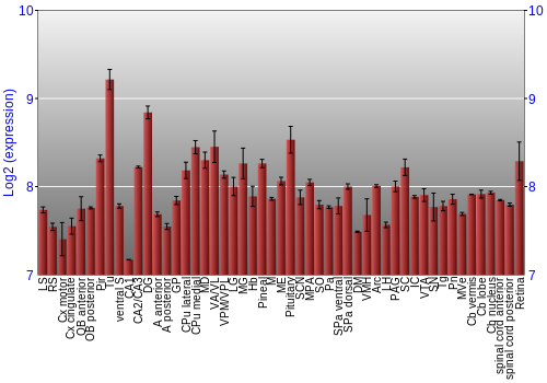 Expression graph
