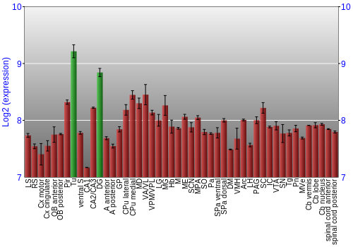 Multi-state expression graph