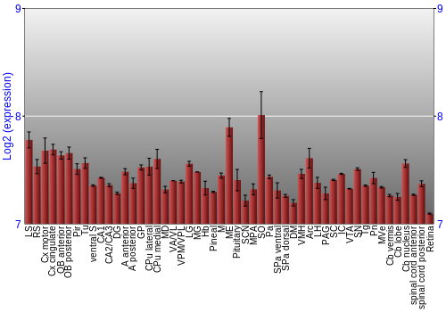 Expression graph