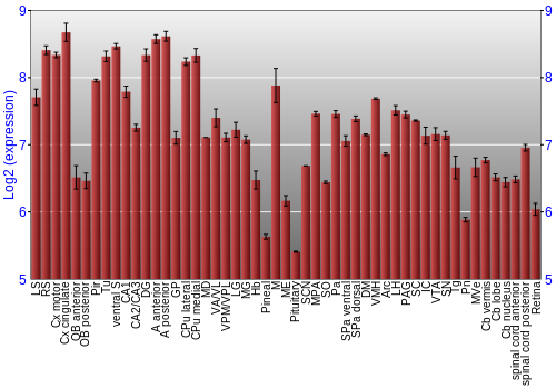 Expression graph