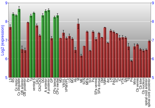 Multi-state expression graph