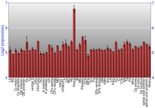 Expression graph