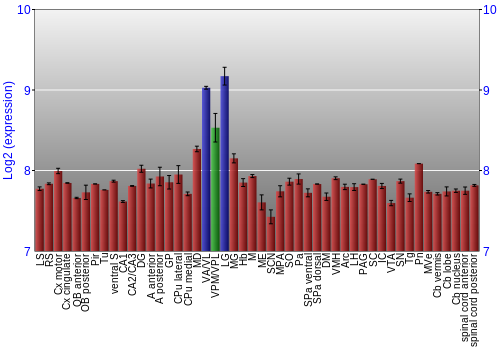 Multi-state expression graph