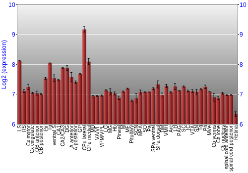 Expression graph