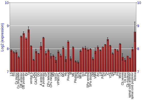 Expression graph
