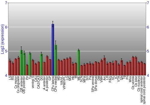 Multi-state expression graph