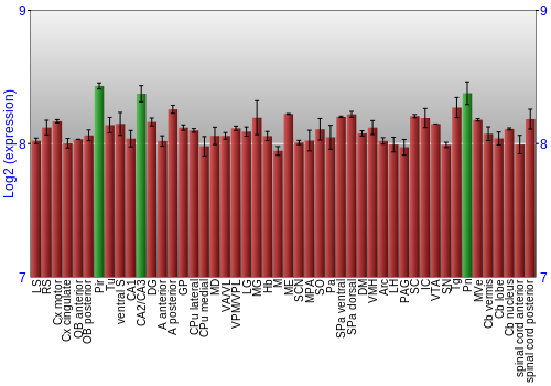 Multi-state expression graph