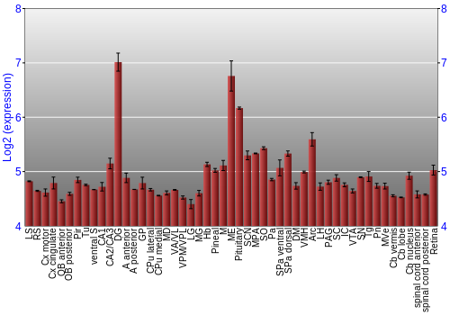 Expression graph