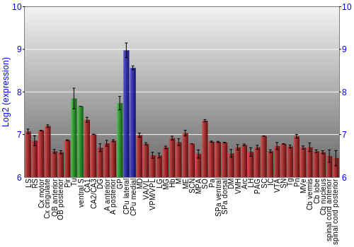 Multi-state expression graph