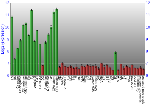 Multi-state expression graph