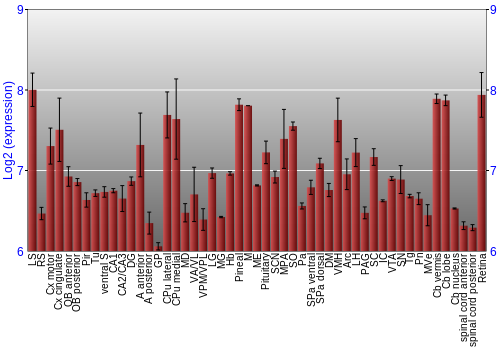 Expression graph