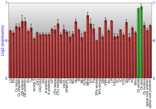 Multi-state expression graph